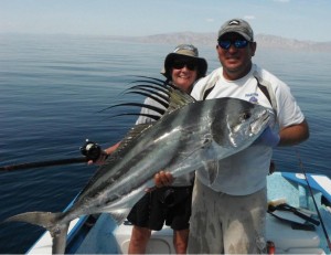 Beautiful roosterfish, caught of La Ventana in Baja, Mexico, est. 45 pounds.