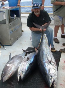 Three big bluefin, up to 115#