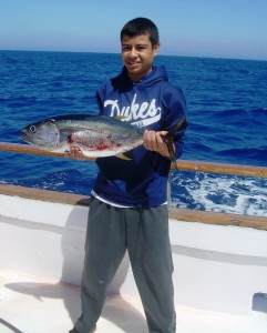 Yellowfin