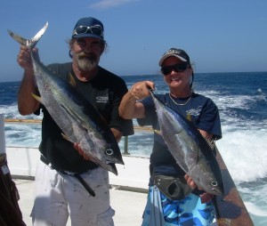 Yellowfin on the Electra