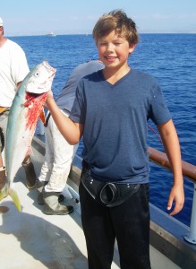 His First yellowtail