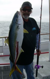 Danny's Yellowtail