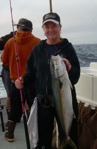 My first Yellowtail of the day