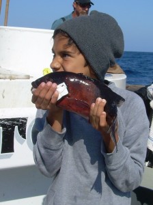 Young anger with a sheephead