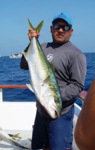 Yellowtail