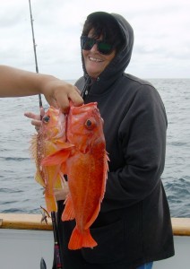 Linda's nice Rockfish