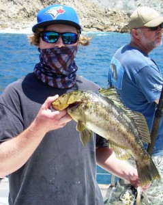 Nice Calico Bass