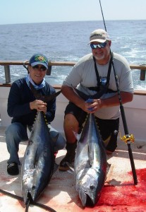 Two nice bluefin