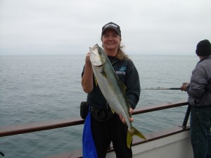 My first yellowtail of the day