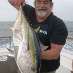 Yellowfin